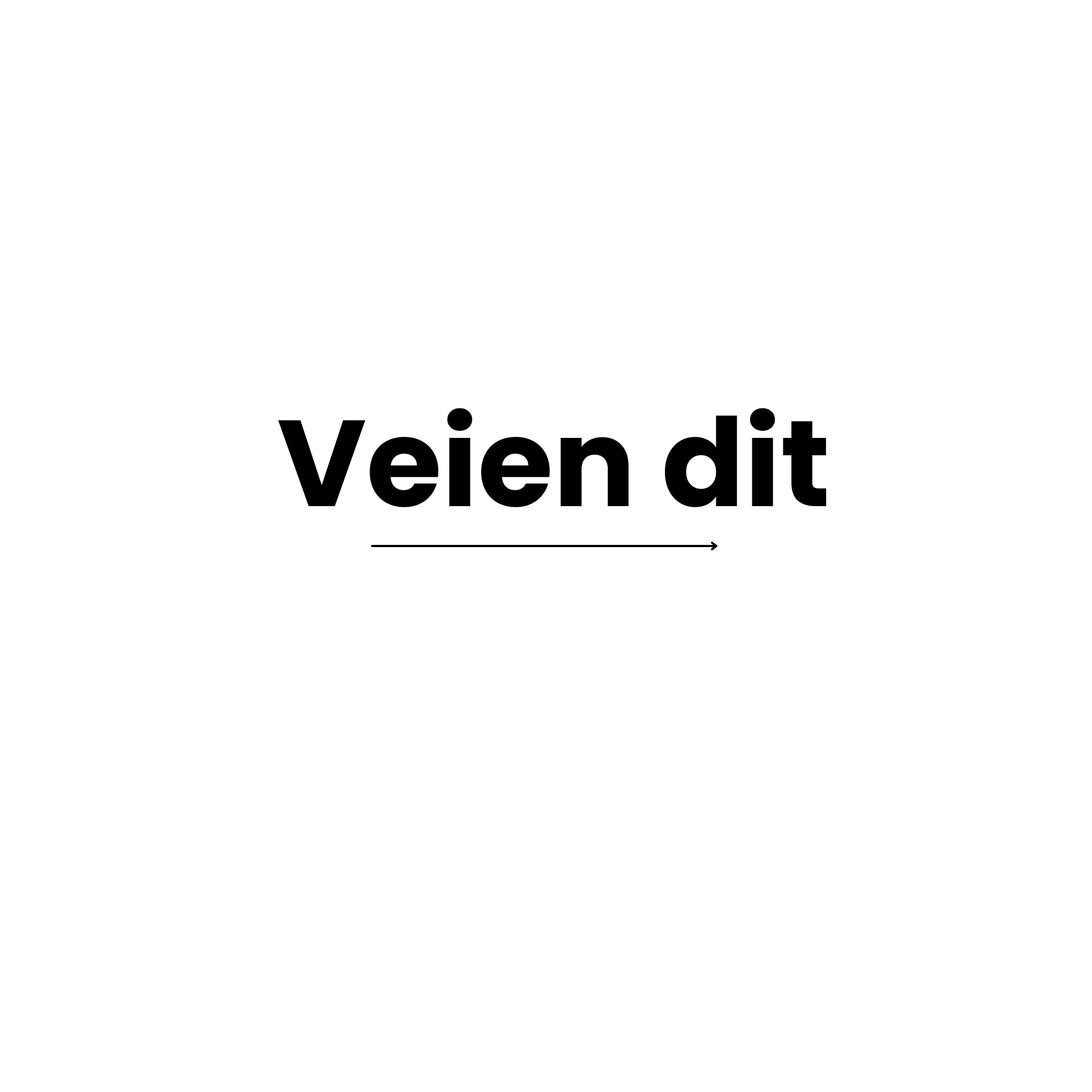 Veien dit